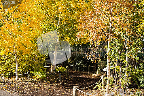 Image of Autumn walk