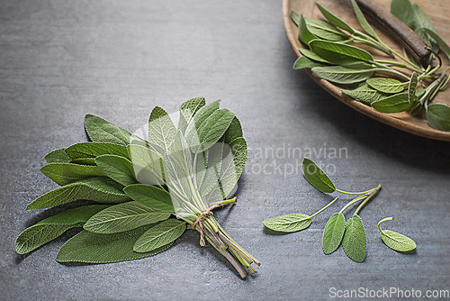 Image of Sage leaves