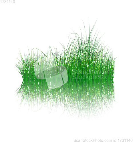 Image of Grass On Water