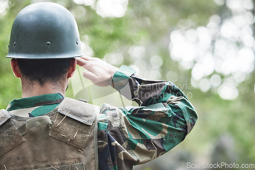 Image of Army, man back and salute portrait in military of a veteran with security, protection and battle. Male person, soldier and field with surveillance, hero and war leader with camouflage in nature