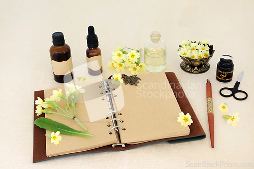 Image of Primula Flower Preparation for Natural Floral Essence 