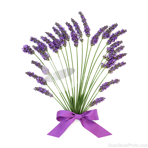 Image of Lavender Flower Herb Abstract Floral Bouquet