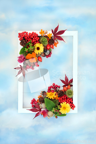 Image of Colorful Autumn Thanksgiving Nature Background Frame