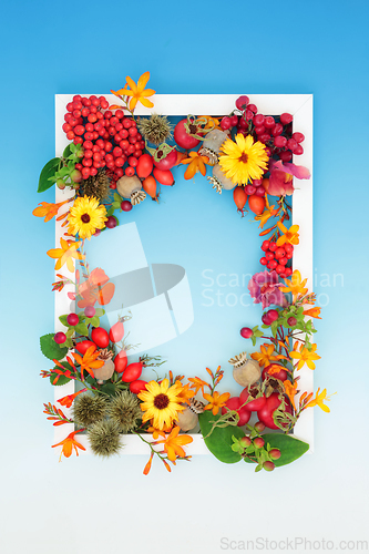 Image of Harvest Festival Autumn Nature Background Border Frame