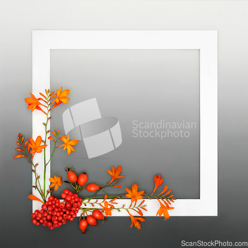 Image of Autumn Fall Thanksgiving Festive Nature Background