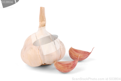 Image of Garlic