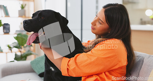 Image of Woman, dog sitting on sofa in living room and fun, love and happy friendship with pets at home. Friends, quality time with pet and happiness, relax and petting animal on couch. Caring for pet.