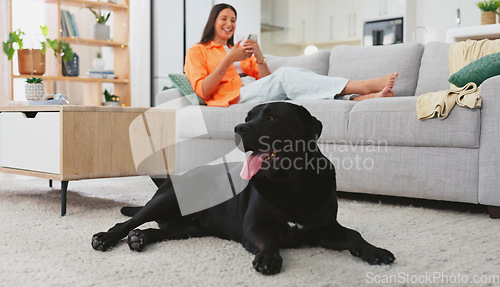 Image of Relax, selfie and dog with woman on sofa for weekend, break and social media app. Picture, technology and peace with girl and pet in living room at home for cute canine, positive and animal care