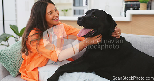 Image of Happy woman relax with her dog on sofa for mental health, wellness or emotional support, love and care. Young person relaxing on living room couch and stroking puppy pet, animal or Labrador retriever