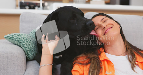 Image of Relax, sofa and woman pet dog for love, support and animal care in living room for trust, chill and happy. Best friend, cute and owner hands on canine for petting, bonding and quality time together