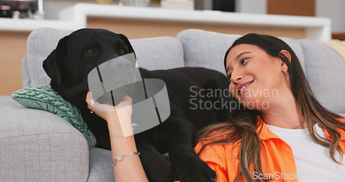 Image of Relax, dog and woman on couch, playing and happiness on break, resting and quality time in living room. Female on sofa, happy lady and pet in lounge, carefree and domestic animal with owner love