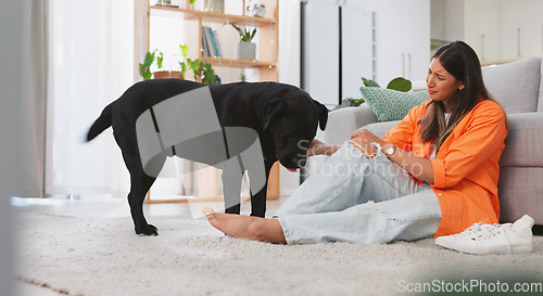 Image of Woman, sad and dog in a home with pet owner love, support and sadness feeling relax. Dogs scratch, young female care and sad person sitting on a living room floor in a house with a animal