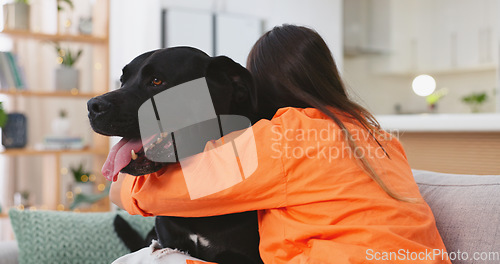 Image of Woman, dog and hugging on sofa together in living room, fun, love and happy friendship with pets at home. Friends, quality time with pet and happiness, relax and petting animal on couch in apartment.