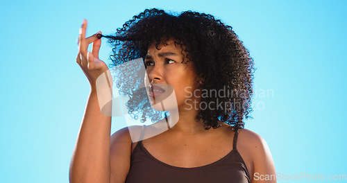 Image of Afro, hair damage and confused black woman on blue background with problem, hairstyle frizz and loss. Beauty salon, hairdresser and frustrated girl with strand for treatment, grooming or cosmetics
