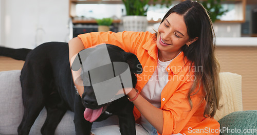 Image of Woman, dog jumping on sofa in living room and fun, love and happy friendship with pets at home. Friends, quality time with pet and happiness, relax and petting animal on couch in apartment together.