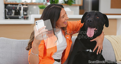 Image of Woman, dog and selfie on living room couch in home for funny hug, touch or lick face with happy friends. Doggy mom, lounge sofa and love for pet, animal or social media app for comic photography fail