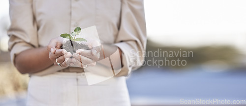 Image of Hands, seedling and business woman with space for mockup, branding or growth in startup company. Soil, plant and mock up for development, start or entrepreneurship for goal, sustainability and future