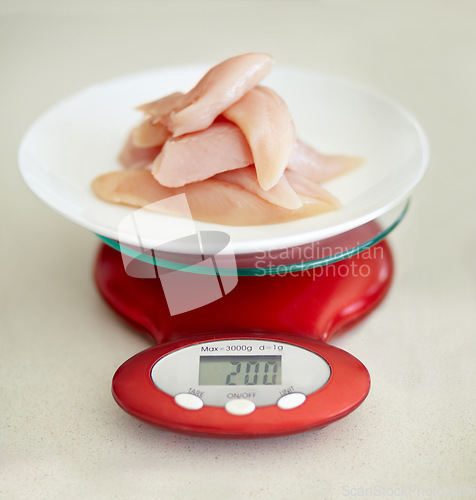 Image of Protein, nutrition and chicken breast on a scale in studio from above on a table in the kitchen for health or wellness. Food, meat and diet with healthy organic lunch on a plate to measure the weight