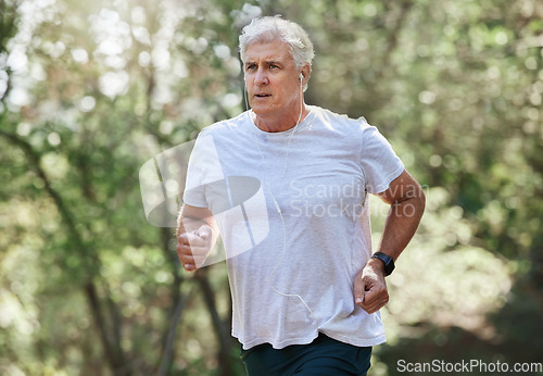 Image of Senior man, exercise and outdoor with music earphones for run, workout and training for fitness. Elderly male focus on cardio health, audio and wellness while running in in nature and retirement