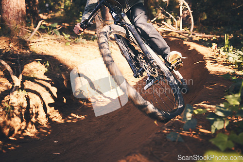 Image of Cycling, closeup and wheel with man in nature for fitness, training and adventure. Extreme sports, speed and cardio with male cyclist on bike in forest park for travel, challenge and performance