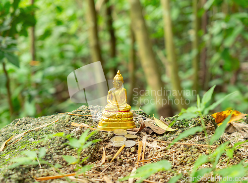 Image of Tiny Buddha image with coins in forest in Thailand