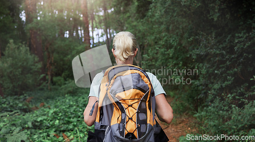 Image of Travel, forest and woman rear on hiking journey, jungle adventure or nature wellness and outdoor explore. Fitness, walking and hiker person in backpack trekking, tropical woods path and cardio health