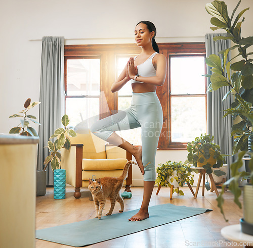 Image of Yoga, fitness woman and cat for meditation, training and balance at home in living room, wellness and holistic health. Biracial person meditate, prayer or tree pose in pilates workout for healing