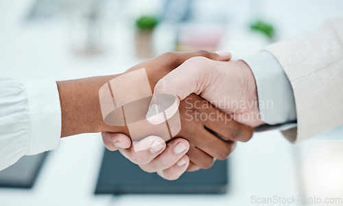 Image of Hands, handshake and business people with b2b deal, welcome and thank you gesture. Shaking hands, partnership man with and hr for thank you after job interview, hiring or integration, crm or contract