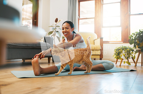 Image of Cat, fitness or happy woman in yoga stretching legs for body flexibility, wellness or healthy lifestyle. Kitten, pet animal or zen girl in exercise, workout or training warm up in house exercising