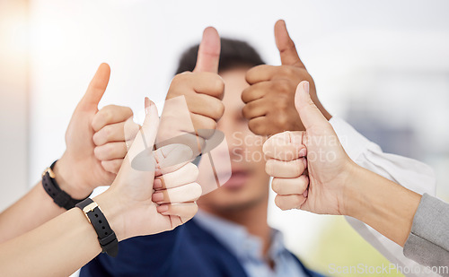 Image of Business people, hands and thumbs up in teamwork agreement for good job, winning or success at the office. Hand of group employees showing thumb emoji, yes sign or like in team support at workplace