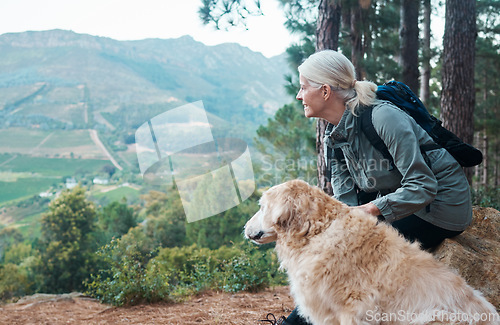 Image of Woman, hiking and dog outdoor in nature for exercise, fitness and trekking for health and wellness. Senior woman with pet animal on hike and thinking in forest about workout, cardio and happiness