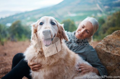 Image of Elderly woman, hiking with dog in forest and adventure, fitness with travel and pet with love and care. Nature, trekking and vitality, mature female in retirement and golden retriever puppy outdoor