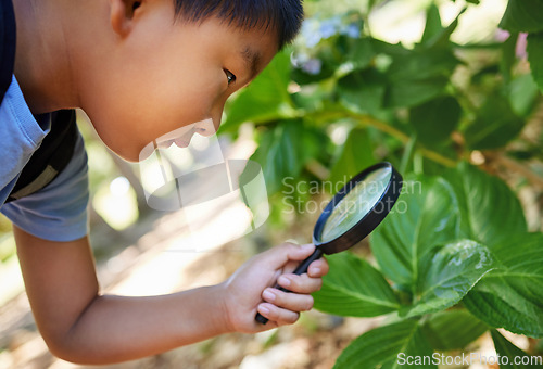 Image of Magnifying glass, nature and an asian boy studying plants outdoor for education during a field trip. Kids, school and outing with a male student learning about organic sustainability in a garden