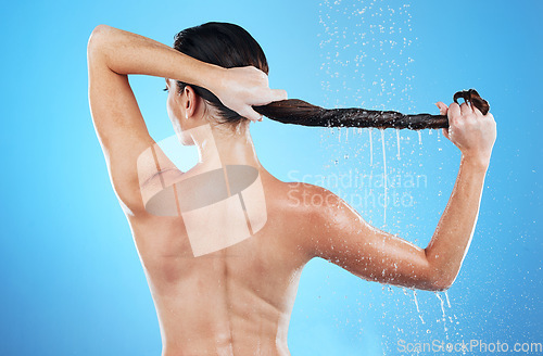 Image of Back of woman, shower and hair care in studio, blue background and hygiene routine. Female model cleaning head with water for scalp, beauty and shampoo cosmetics of skincare, wellness and grooming