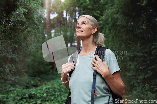 Image of Travel, forest and mature woman on hiking journey, jungle adventure and nature backpack with outdoor explore. Senior camper or hiker person trekking in rainforest or tropical woods for cardio health