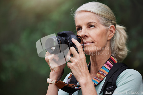 Image of Nature, hiking and mature woman taking pictures, fitness and memories with wellness, healthy lifestyle and wireless device. Senior female tourist, lady and photographer with camera, hike and walking