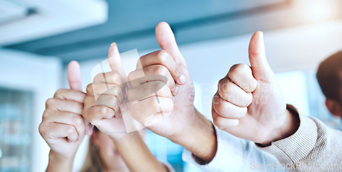 Image of Business people, hands and thumbs up in agreement for good job, winning or teamwork success at the office. Closeup of employee group showing thumb emoji, yes sign or like in team support at workplace