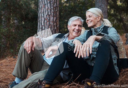 Image of Nature, smile and hiking, old couple on floor in forest in South Africa on retirement holiday adventure. Travel, senior man and woman relax together on outdoor walk with love, happiness and health.