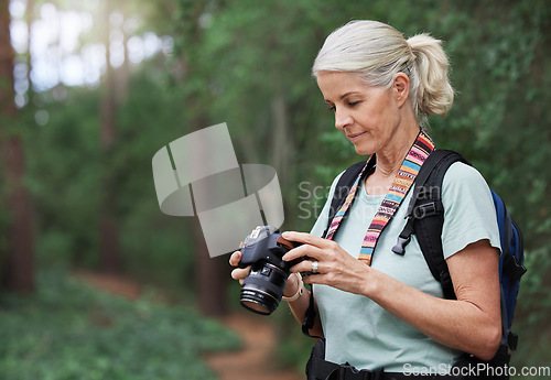 Image of Senior woman, hiking and photography with digital camera on trail in nature park. Female hiker, tourist and travel photographer on trekking adventure, sightseeing journey or explore scenery in forest