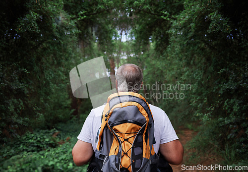 Image of Adventure, hiking and senior man in a forest or woods and walking in nature for exercise, workout or fitness. Travel, adventure and back view of elderly male person trekking to explore the outdoors