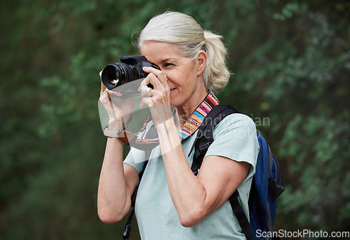 Image of Woman, hiking and photography with camera in nature, outdoor or green environment. Female hiker, tourist and travel photographer on trekking adventure, sightseeing journey or explore scenery in woods