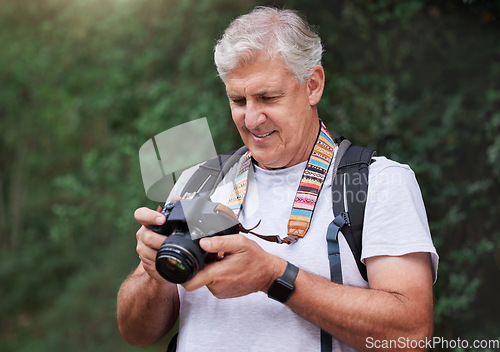 Image of Senior man, hiking and photography with camera in forest, nature and green environment. Happy male hiker, tourist and travel photographer on trekking adventure, sightseeing journey or explore scenery