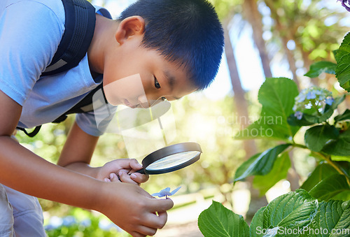 Image of Magnifying glass, garden and an asian boy studying plants outdoor for education during a field trip. Kids, school and outing with a male student learning about organic sustainability in nature