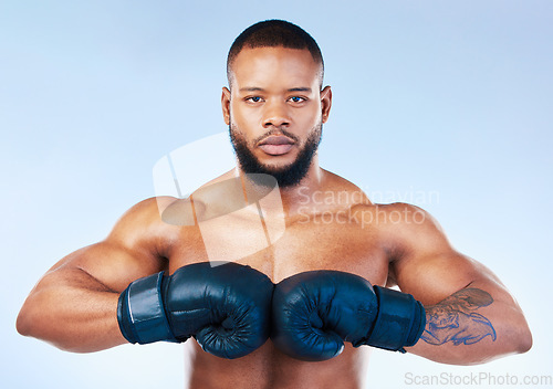 Image of Gloves, boxing and portrait of a serious black man isolated on a blue background in studio. Ready, fitness and an African boxer looking focused for training, cardio challenge or a fight on a backdrop