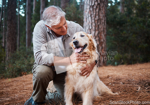 Image of Senior man, hiking with dog in forest and adventure, fitness with travel and pet with love and care. Nature, trekking and vitality with mature male in retirement and golden retriever puppy outdoor