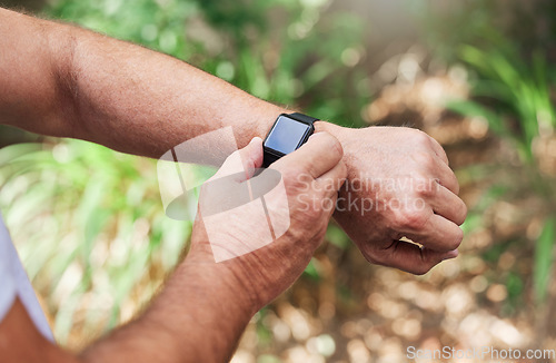 Image of Time, notification and hands with a watch for fitness, running and cardio progress in nature. Sports, health and arms of a runner checking pulse, heart rate and training results on a wristwatch