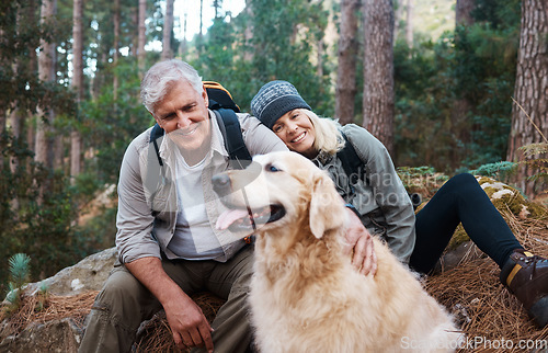 Image of Nature, hike and senior couple with their dog in the woods for a wellness cardio exercise. Happy, travel and elderly man and woman hikers in retirement hiking with their pet in a forest in Australia.