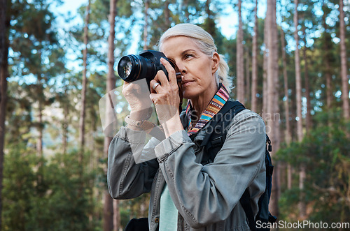 Image of Hiking, nature and woman taking photos with a camera, capturing memories and view in a forest. Travel, tourist and an elderly lady taking pictures in a woods or the mountains for a photography hobby
