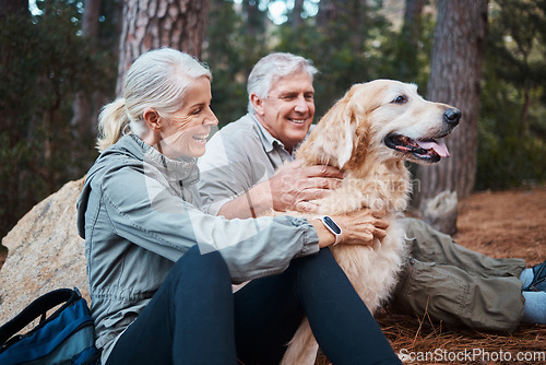 Image of Senior couple, hiking and dog outdoor in nature for exercise, fitness and trekking for health and wellness. Old man, woman and golden retriever pet on hike in forest for workout, cardio and happiness