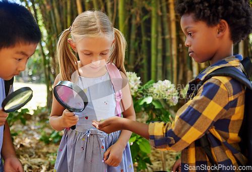 Image of Friends, nature or children at summer camp, magnifying glass or growth outdoor, speaking or ideas. Knowledge, young kids with plants, outside or discover with fun, natural or adventure for bonding